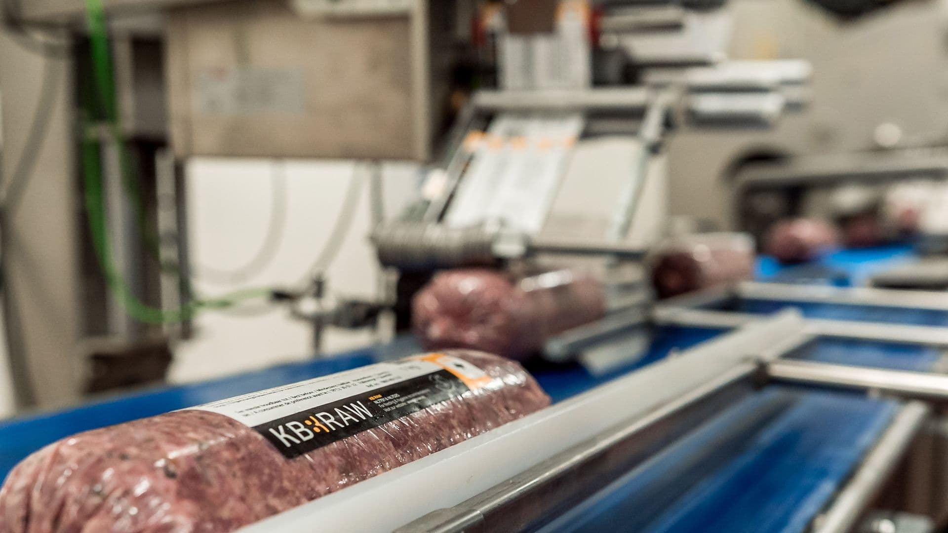 Behind the scenes worst op de band